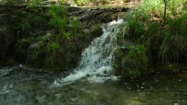 Piccole cascate tra gli alberi dei Laghi di Plitvice nel Parco Nazionale in Croazia. Foresta decidua verde densa di primavera. Piccola cascata di montagna scende su pietre di muschio e sfocia nel fiume — Video Stock