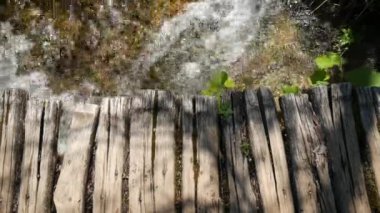 Hırvatistan 'daki Plitvice Gölleri Ulusal Parkı' ndaki dağ nehirleri ve şelale suları üzerinden yeşil sık bahar ormanları boyunca ahşap yol.