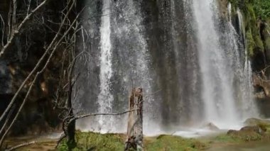 Hırvatistan 'daki Plitvice Gölleri Ulusal Parkı' nda büyük bir şelale. Korana Nehri, doğal barajların oluşmasına neden oldu. Bu barajlar bir dizi pitoresk göller, şelaleler ve mağaralar yarattı..