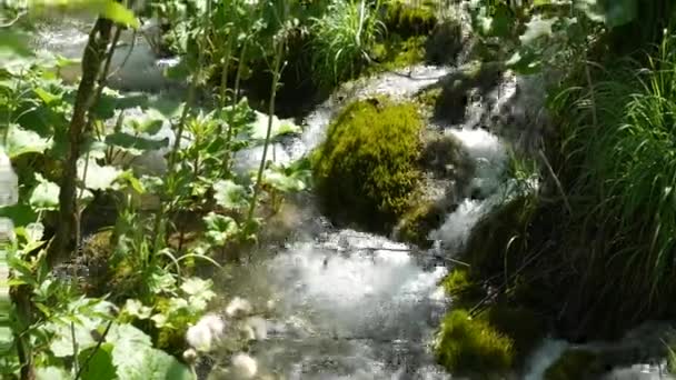 Pequenas cachoeiras entre as árvores nos lagos Plitvice no Parque Nacional, na Croácia. Floresta decídua densa de primavera verde. Um pequeno rio de montanha lava uma pedra no musgo . — Vídeo de Stock