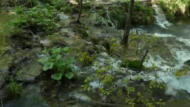 Grande cascata nel Parco Nazionale dei Laghi di Plitvice in Croazia. Il fiume Korana, ha causato barriere di travertino per formare dighe naturali, che ha creato una serie di pittoreschi laghi, cascate e grotte. — Video Stock