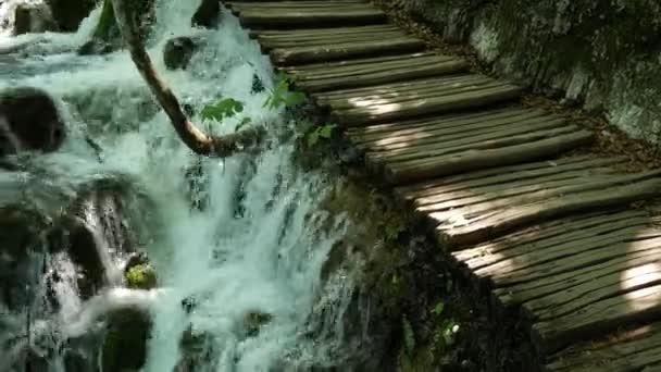 Kleine Wasserfälle zwischen den Bäumen an den Plitvicer Seen im Nationalpark in Kroatien. Dichter grüner Frühlingslaubwald. Das reißende Wasser eines Gebirgsflusses. — Stockvideo