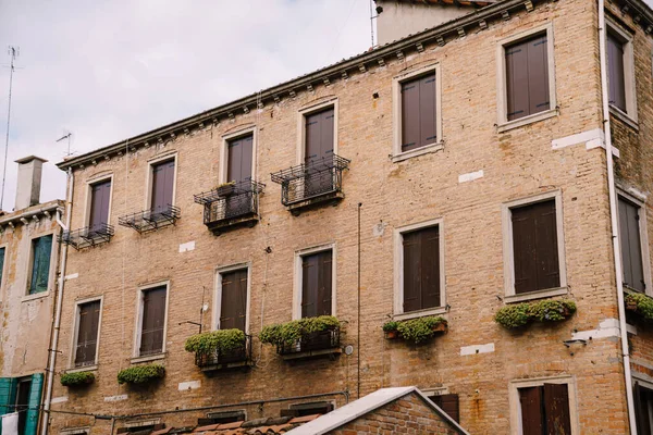 Gros plan de la façade d'un bâtiment, dans les rues de Venise, Italie. Un bâtiment de trois étages en brique avec volets bruns fermés, pots aux fleurs vertes luxuriantes . — Photo