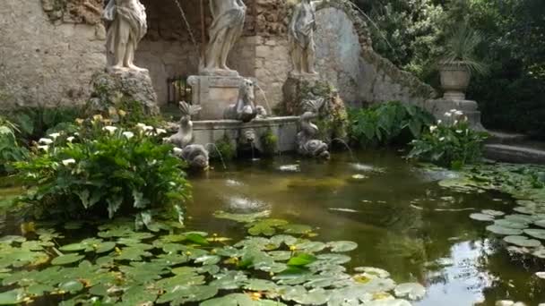 Fonte de pedra velha no jardim botânico Trsteno, perto de Dubrovnik, Croácia. Estátua de Netuno, peixinho dourado na água, florescendo lírios de água verde. Localização do filme Game of Thrones — Vídeo de Stock