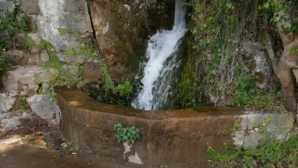 Pequena cachoeira natural no mar, a água da montanha flui para o mar. No arboreto de Trsteno, Croácia . — Vídeo de Stock