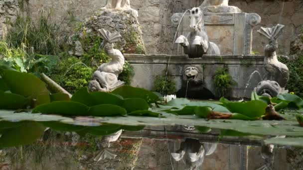 Fonte de pedra velha no jardim botânico Trsteno, perto de Dubrovnik, Croácia. Estátua de Netuno, peixinho dourado na água, florescendo lírios de água verde. Localização do filme Game of Thrones — Vídeo de Stock