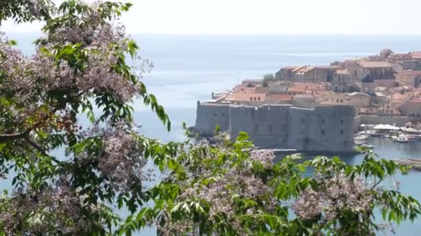 Vista de la ciudad vieja de Dubrovnik, Croacia, desde el lado del muelle principal del barco . — Vídeos de Stock