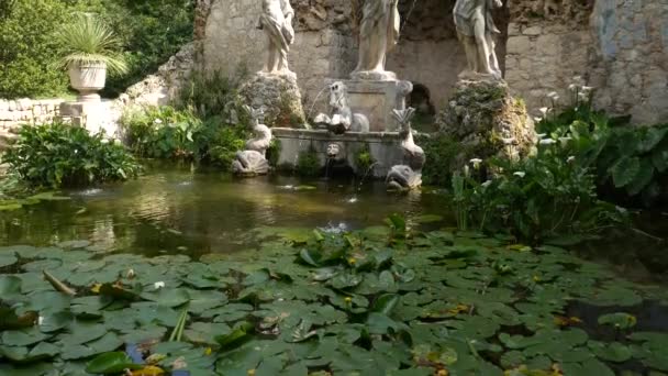 Stará kamenná fontána v botanické zahradě Trsteno, nedaleko Dubrovníku, Chorvatsko. Socha Neptuna, zlatá rybka ve vodě, kvetoucí zelené lilie. Umístění filmu Hra o trůny — Stock video