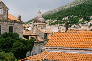 Dubrovnik Dubrovnik 'teki Bakire Meryem' in Varsayımı Katedrali. Büyük kubbeli bir kilise..