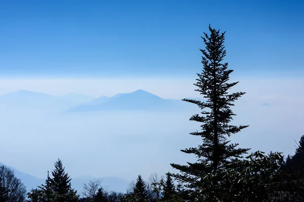 Sylwetka w regionie Smoky Mountains — Zdjęcie stockowe