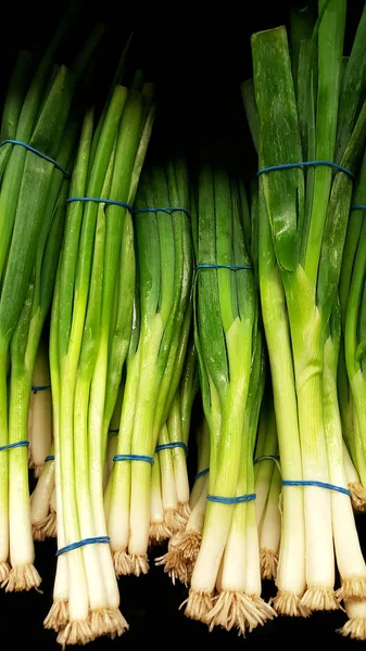 Cebolas verdes frescas — Fotografia de Stock