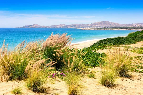 Pláž los Cabos, Mexiko — Stock fotografie