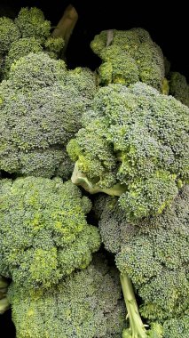 Taze brokoli grup