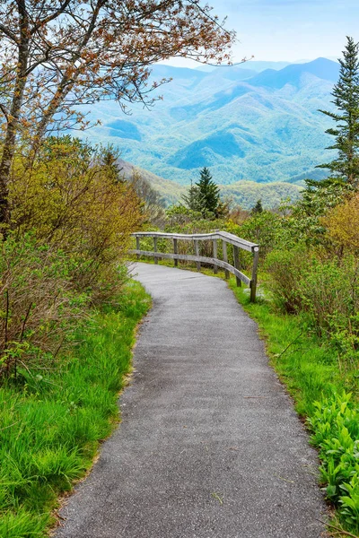 Caminho da natureza nas montanhas — Fotografia de Stock