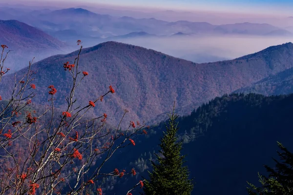 Blue Ridge Mountains, Severní Karolína — Stock fotografie