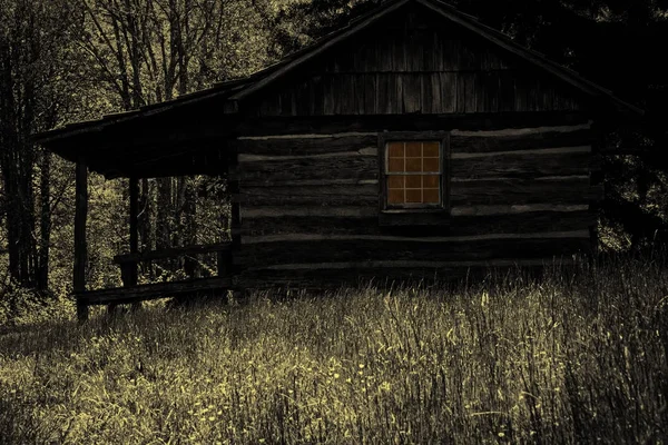 Gruselige Hütte im Wald — Stockfoto