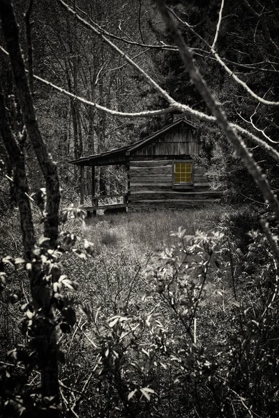 Upiorny Log Cabin — Zdjęcie stockowe