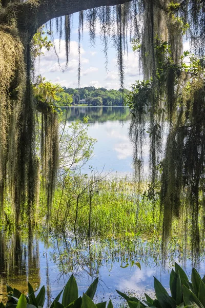 Lago no norte da Flórida — Fotografia de Stock