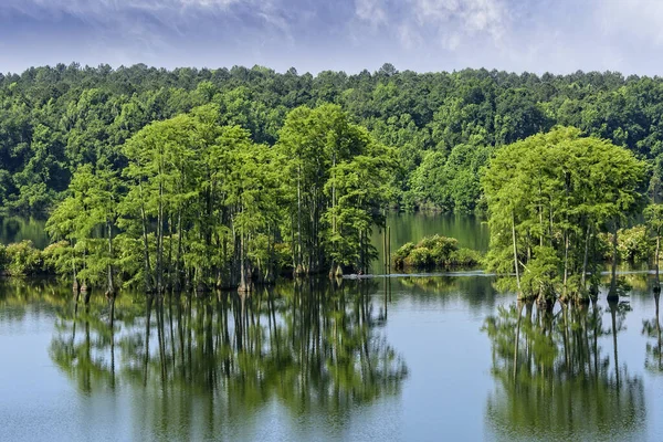 Piney Z Lake em Tallahassee, Flórida — Fotografia de Stock