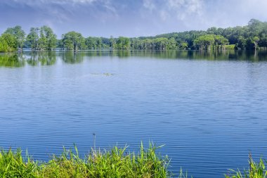 Tallahassee, Florida 'daki Piney Z Gölü