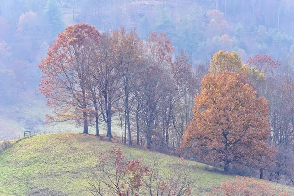 Kuzey Carolina 'da Sabah Parıltısı — Stok fotoğraf