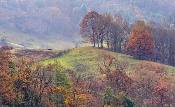 北卡罗莱纳州山上的秋天 — 图库照片
