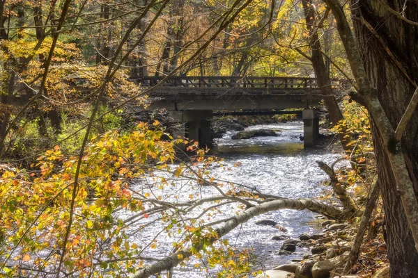 Bridge over a running stream in the season of Fall — Stock Photo, Image