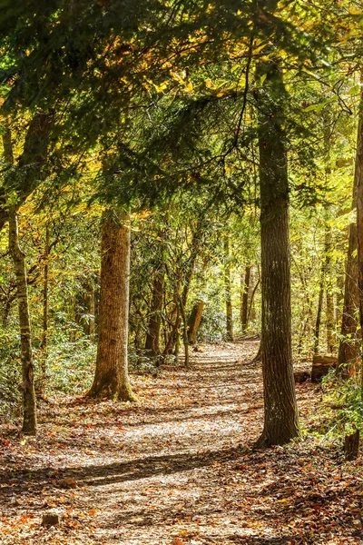 Trilha de caminhada em Autumn in North Carolina — Fotografia de Stock