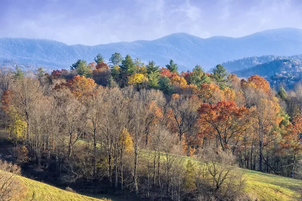 Осенние цвета в долине — стоковое фото