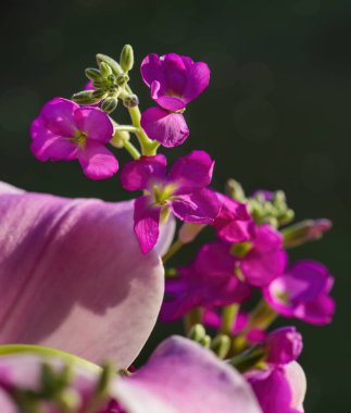 Pembe Çiçek Buketi