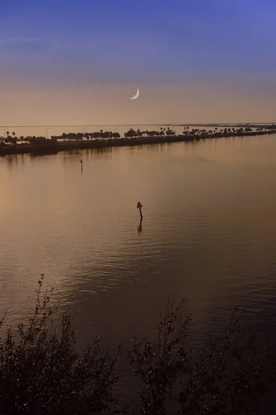 Luna sobre Tampa Bay, Florida — Foto de Stock