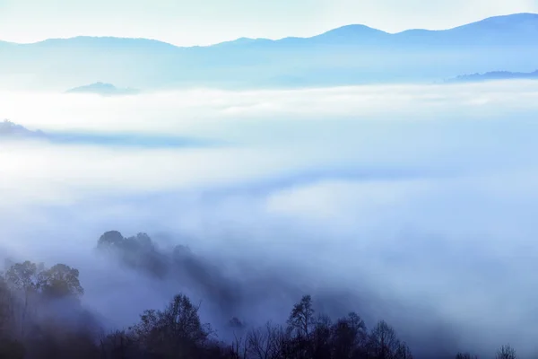 White Out Dans Vallée Des Blue Ridge Mountains Caroline Nord — Photo