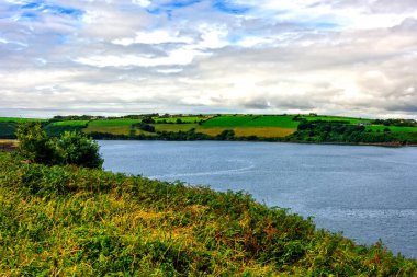 Bandon Nehri, İrlanda 'nın güney kıyısındaki küçük Kinsale köyü boyunca akar..