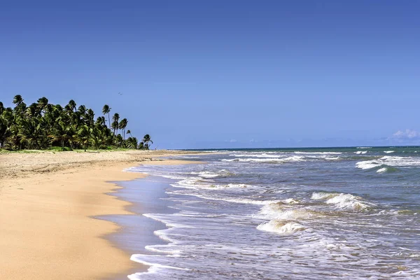 波多黎各巴伊亚州海滩和大西洋 — 图库照片