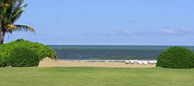 Plaj ve Atlantik Okyanusu 'nun tropik manzarası