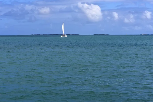 Gran Catamarán Navegando Mar Caribe Frente Costa Puerto Rico — Foto de Stock