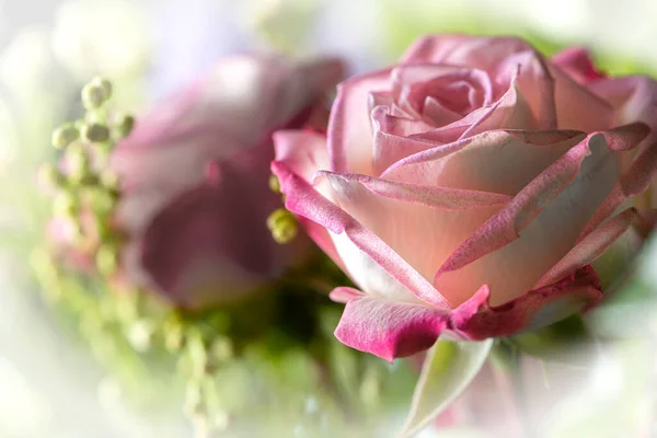 粉红的玫瑰 缀在一束花上 上有柔嫩的花环 — 图库照片