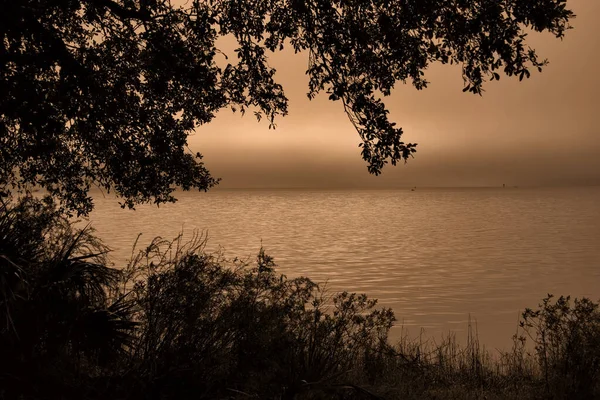 Nebeliger Morgen Auf Dem Marks River Einem State Park Leon — Stockfoto