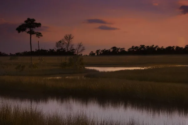 落日落在沼泽地和沼泽地上 落在佛罗里达州北部的圣马克斯河上 — 图库照片