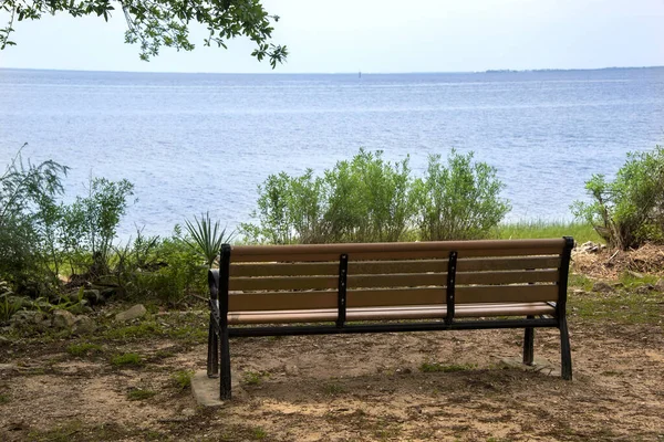 Prázdná Lavička Břehu Řeky Marks Tallahassee Florida — Stock fotografie