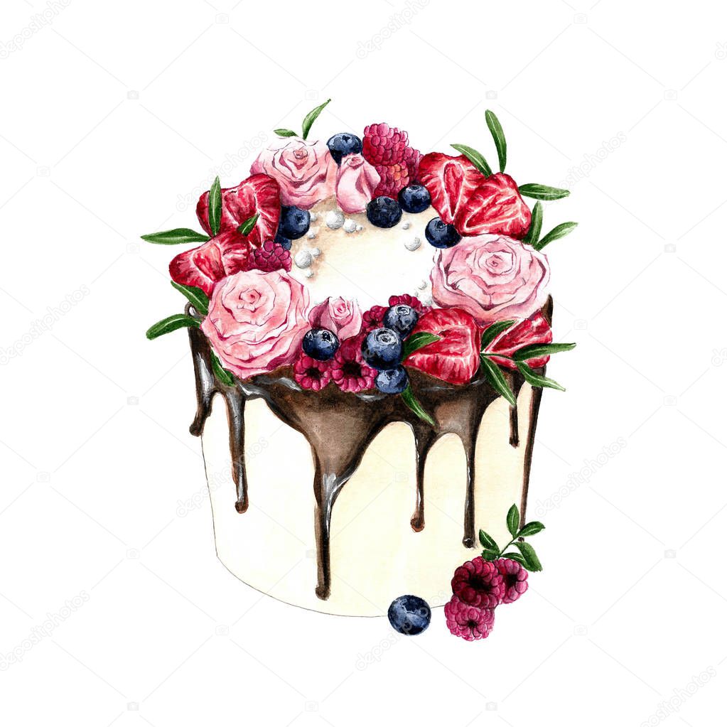 Isolated cake with berries, flowers and chocolate on white background.