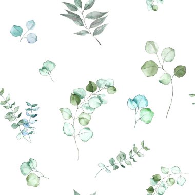 Beyaz arka planda okaliptüs yaprakları deseni.