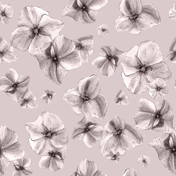 Безшовний Квітковий Візерунок Гортензіями Сірому Фоні — стокове фото