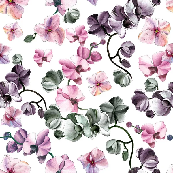 Padrão Flor Sem Costura Com Orquídeas Hortênsias Fundo Branco Fotografia De Stock