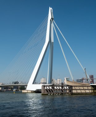 Görünüm Erasmus Köprüsü, Rotterdam, Hollanda