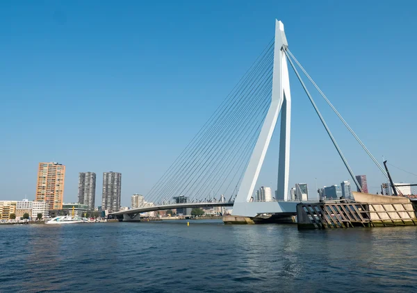 Widok na Most Erazma, Rotterdam, Holandia — Zdjęcie stockowe