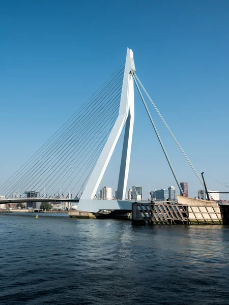 Widok na Most Erazma, Rotterdam, Holandia — Zdjęcie stockowe