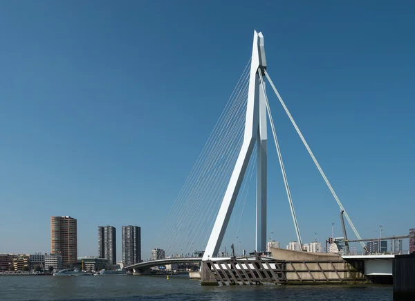 Widok na Most Erazma, Rotterdam, Holandia — Zdjęcie stockowe