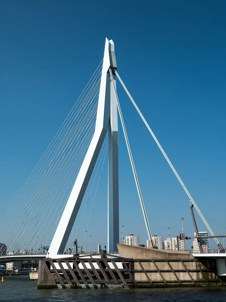 Kilátás nyílik az Erasmus-híd, Rotterdam, Hollandia — Stock Fotó