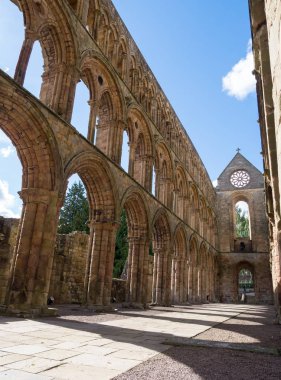 Jedburgh abbey, İskoçya
